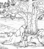 A coloring page of nature in africa